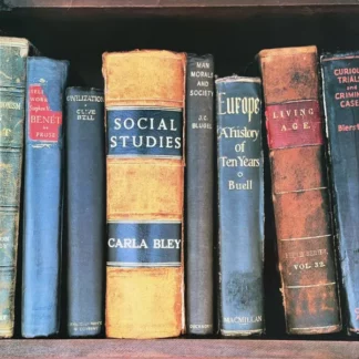 Carla Bley - Social Studies (LP, Album)