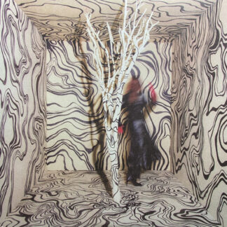 Ry Cooder - An Acoustic Evening With Ry Cooder (LP, Ltd, Num, Blu)