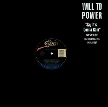 Will To Power - Say It's Gonna Rain (12")