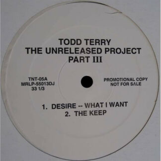 Todd Terry - Ready For A New Day (12", Single)