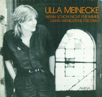 Ulla Meinecke - Wenn Schon Nicht Für Immer Dann Wenigstens Für Ewig (LP, Album)