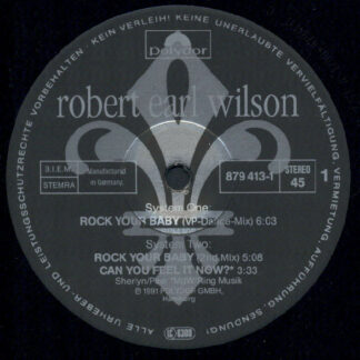 Robert Earl Wilson - Rock Your Baby (12", Maxi)