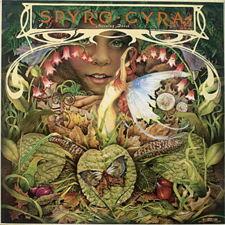 Spyro Gyra - Morning Dance (LP, Album, RE)