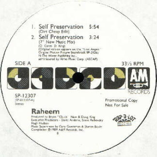 Raheem - Self Preservation (12", Promo)