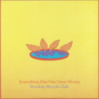 Bombay Bicycle Club - Everything Else Has Gone Wrong (2xLP, Album, Dlx)