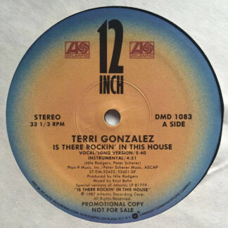 Terri Gonzalez - Is There Rockin' In This House (12", Promo)