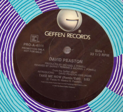 David Peaston - Take Me Now (12", Promo)