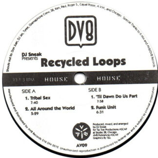 DJ Sneak - Recycled Loops (12")