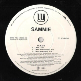 Sammie - I Like It (12", Single, Promo)