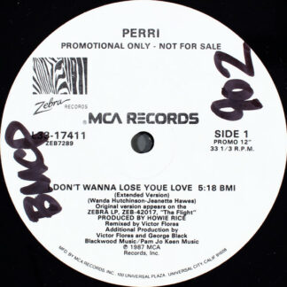 Perri - I Don't Wanna Lose Your Love (12", Promo)