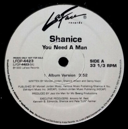 Shanice - You Need A Man (12", Promo)