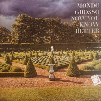 Mondo Grosso - Now You Know Better (12")