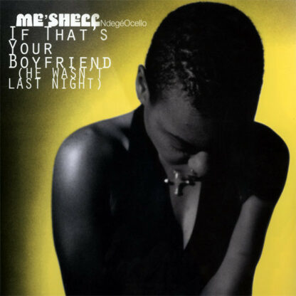 Me'Shell NdegéOcello - If That's Your Boyfriend (He Wasn't Last Night) (12")