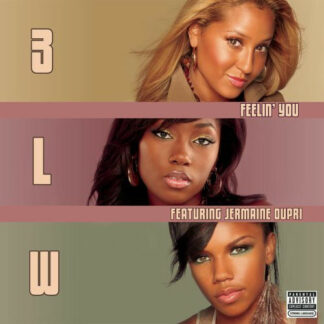 3LW Featuring Jermaine Dupri - Feelin' You (12", Promo)