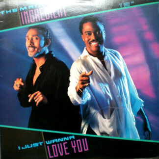 The Main Ingredient - I Just Wanna Love You (12")