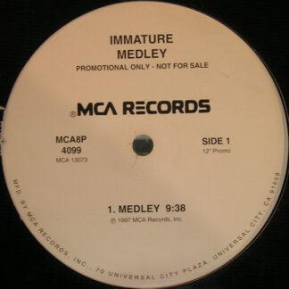 Infamous Syndicate - Hold It Down / What You Do To Me / What That Boy Like (12", Promo)
