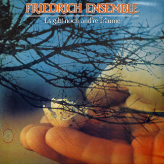 Friedrich Ensemble - Es Gibt Noch And're Träume (LP, Album)