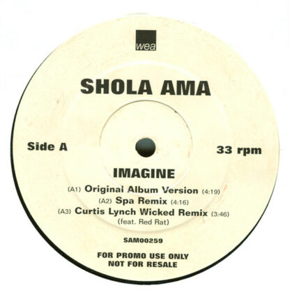 Shola Ama - Imagine (12", Promo)