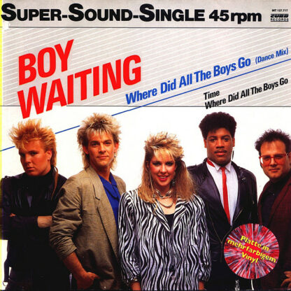 Boy Waiting - Where Did All The Boys Go (12", Single, Mul)