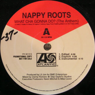 Nappy Roots - What Cha Gonna Do? (The Anthem) (12", Promo)