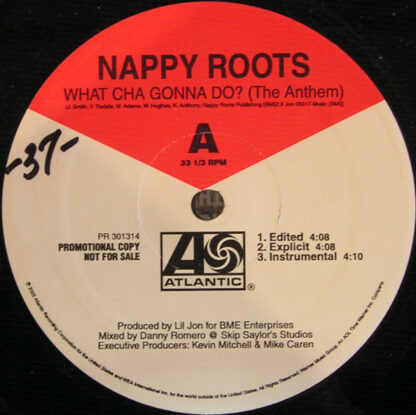 Nappy Roots - What Cha Gonna Do? (The Anthem) (12", Promo)