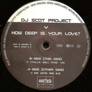 DJ Scot Project - Y (How Deep Is Your Love?) (2x12")