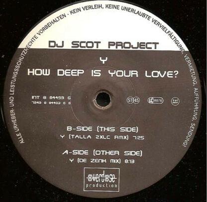 DJ Scot Project - Y (How Deep Is Your Love?) (2x12")