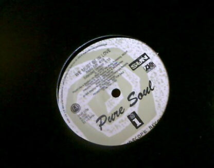 Pure Soul - We Must Be In Love (12", Promo)