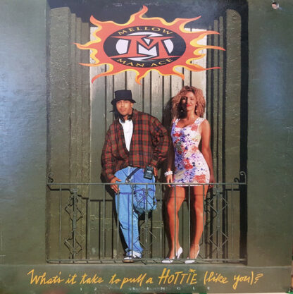 Mellow Man Ace - What's It Take To Pull A Hottie (Like You)? (12")