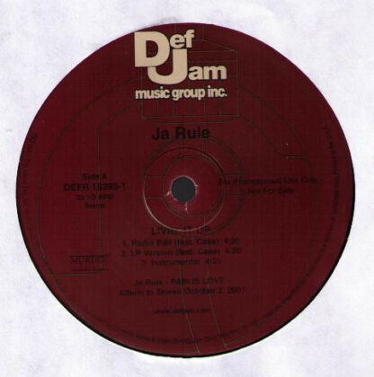 Ja Rule - Livin' It Up (12", Promo)