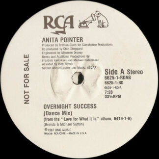 Anita Pointer - Overnight Success (12", Promo)