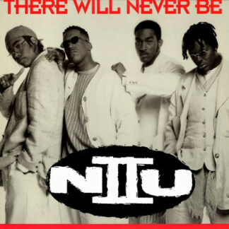 N II U - There Will Never Be (12")