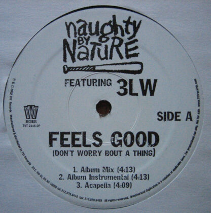 Naughty By Nature Featuring 3LW - Feels Good (Don't Worry Bout A Thing) (12")