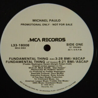 Michael Paulo - Fundamental Thing (12", Single, Promo)