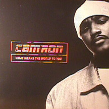 Cam'ron - What Means The World To You (12", Promo)