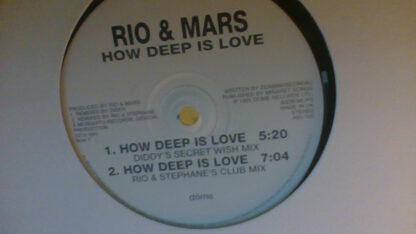 Rio & Mars - How Deep Is Love (12")