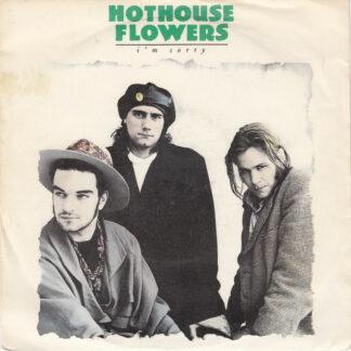 Hothouse Flowers - I'm Sorry (7", Single)