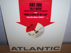 Fat Joe - All I Need (12", Promo)