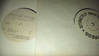 Michael Moog - You Belong To Me (2x12", TP)