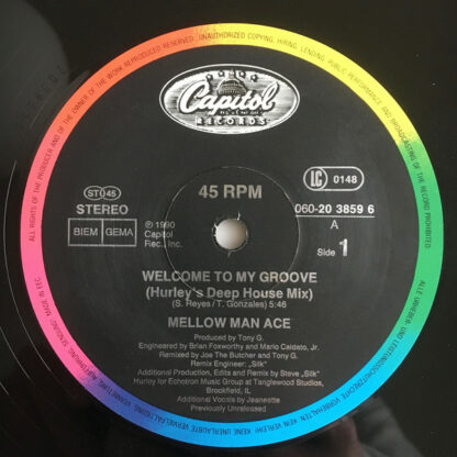 Mellow Man Ace - Welcome To My Groove (12")