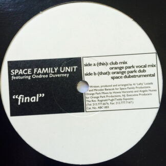 Space Family Unit - Final (12")