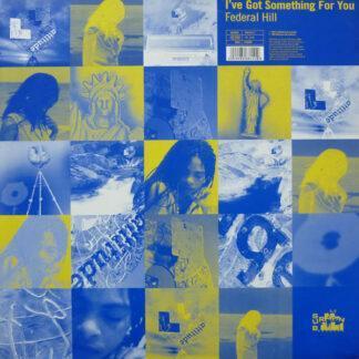 Federal Hill - I've Got Something For You (12")