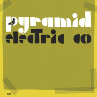 Jason Molina - Pyramid Electric Co (LP, Album, RE)
