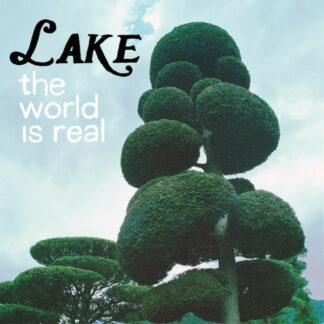 Lake (4) - The World Is Real (LP)