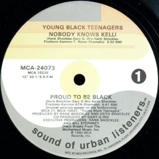 Young Black Teenagers - Nobody Knows Kelli / Proud To Be Black (12")