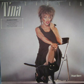 Tina Turner - Break Every Rule (LP, Album)