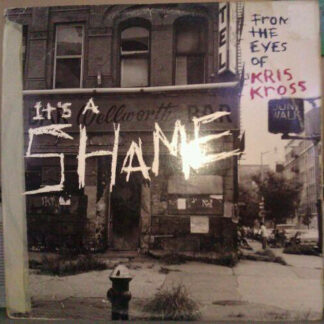 Kris Kross - It's A Shame (12", Single)