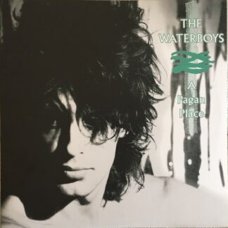 The Waterboys - A Pagan Place (LP, Album, RE, RM, 180)