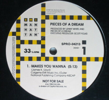 Pieces Of A Dream - Makes You Wanna (12", Single, Promo)