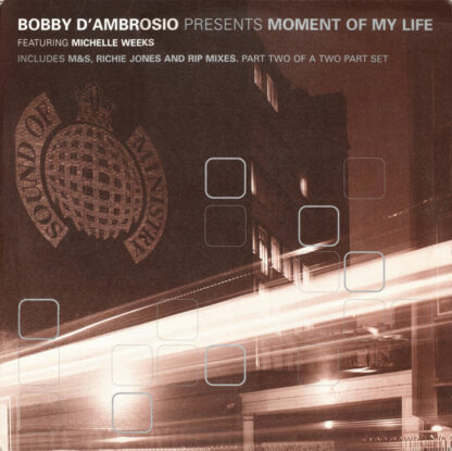 Bobby D'Ambrosio Featuring Michelle Weeks - Moment Of My Life (12", 2/2)